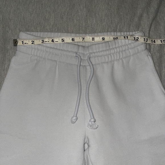 Aritzia Tna Cozy Fleece Perfect Sweatpants (mirror blue) - Picture 7 of 14